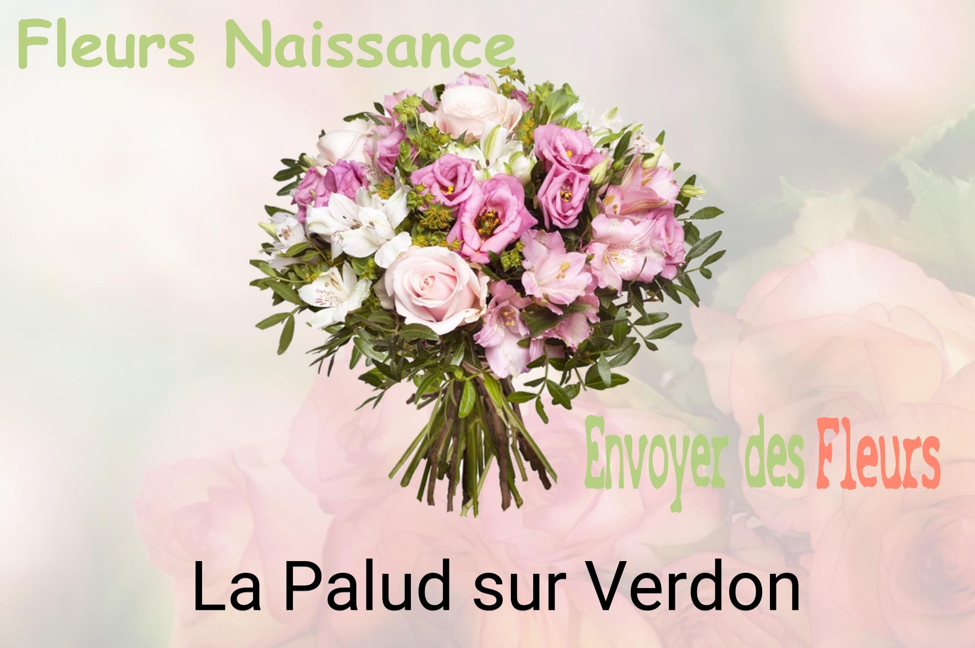 Bouquet de fleurs de naissance livré à La Palud-sur-Verdon